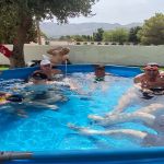 nueva-piscina-para-el-centro